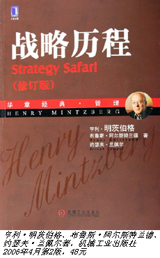 戰略管理這頭大象