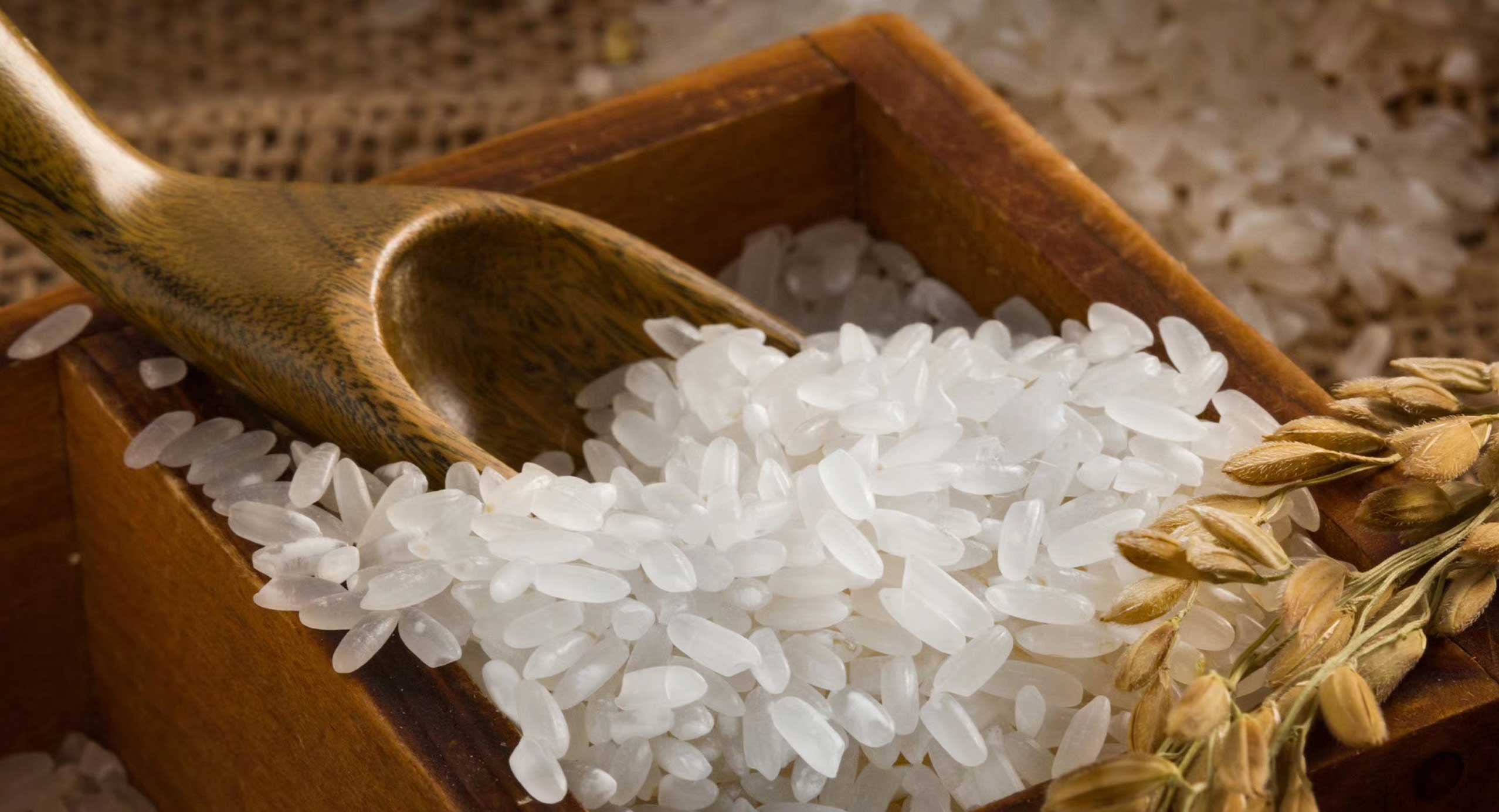 1595041607187644.jpg 06.jpg