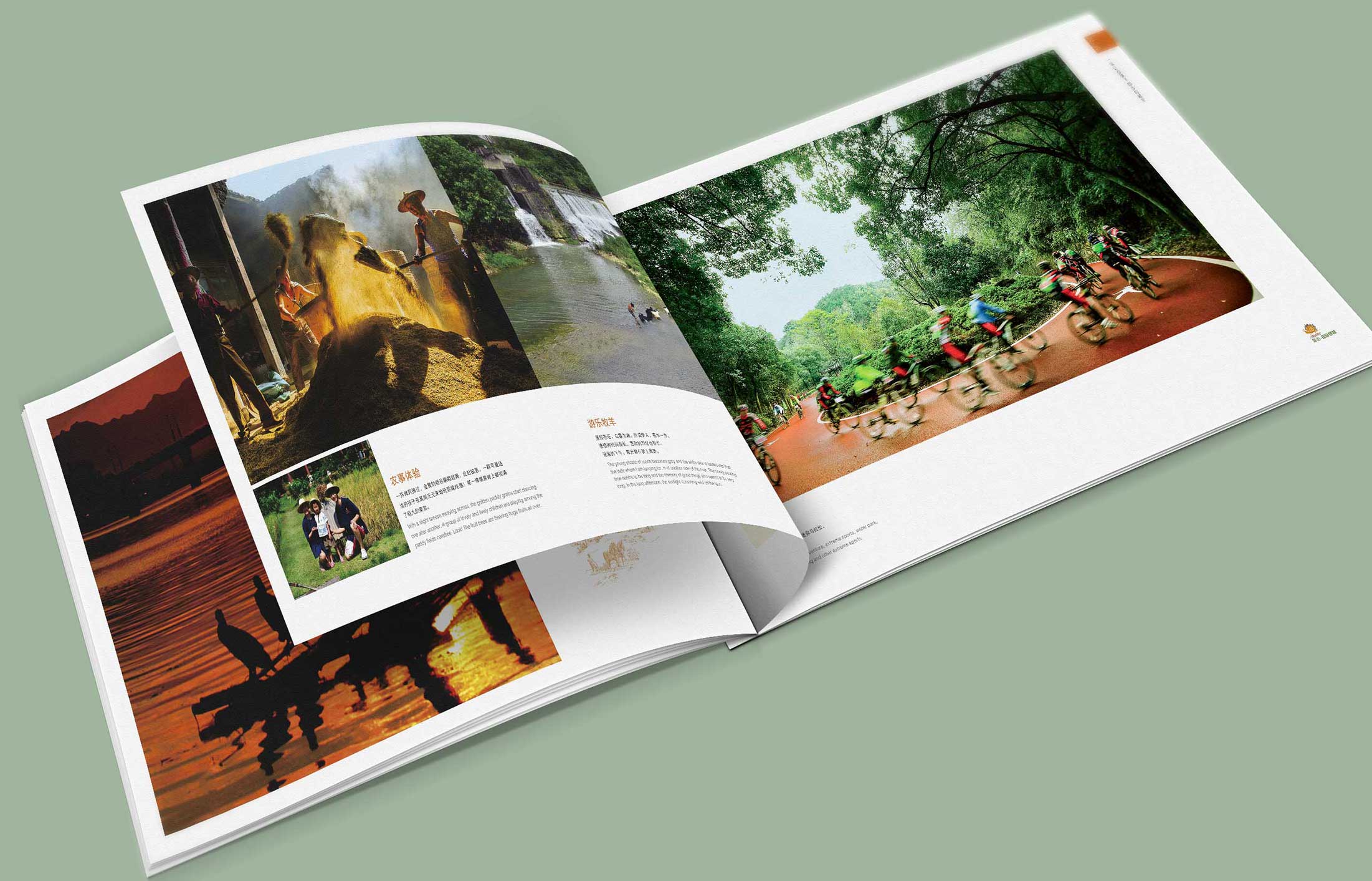 1596187774838212.jpg 4.jpg