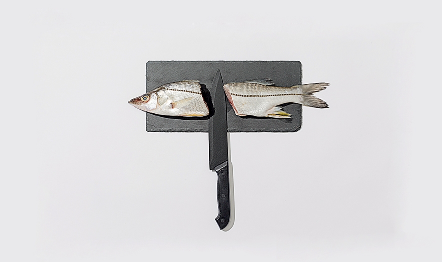 好吃的餐飲食品—創意壽司品牌包裝設計