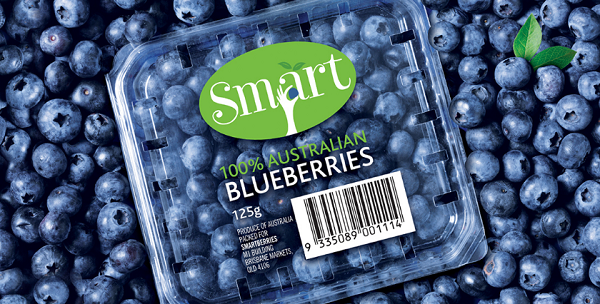 水果-藍莓,黑莓,覆盆子,西紅柿,橙子,蘋果包裝設計大全