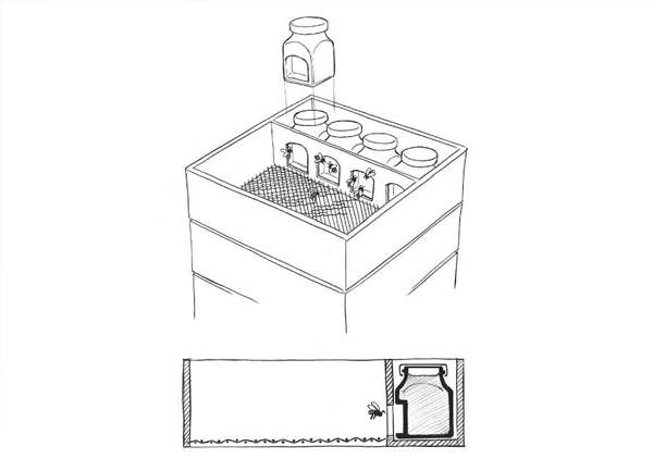 見過喝蜂蜜的，見過舉著蜂巢喝蜂蜜的嗎？｜奇特蜂蜜包裝設計